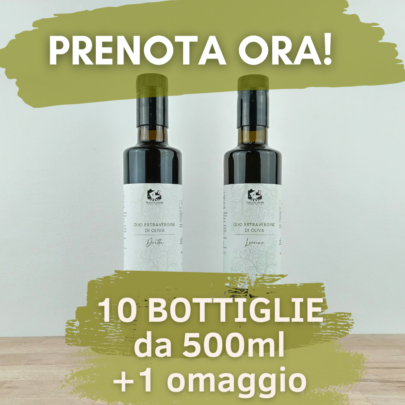 Box Buongustaio - 10 Bottiglie da 500ml