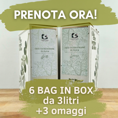 Box Maestro del Gusto - 6 Bag da 3 litri